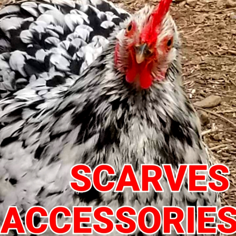 SCARVES & ACCESSORIES